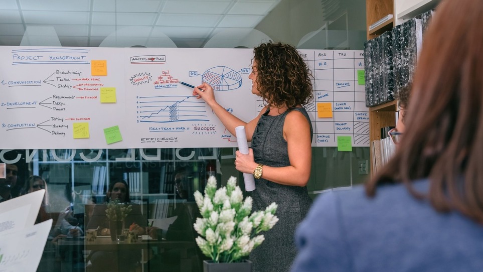 project management